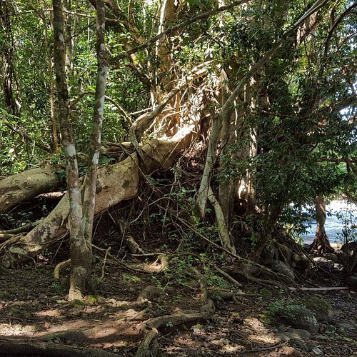 Tan Phu National Park Birdwatching Tour 2 Days